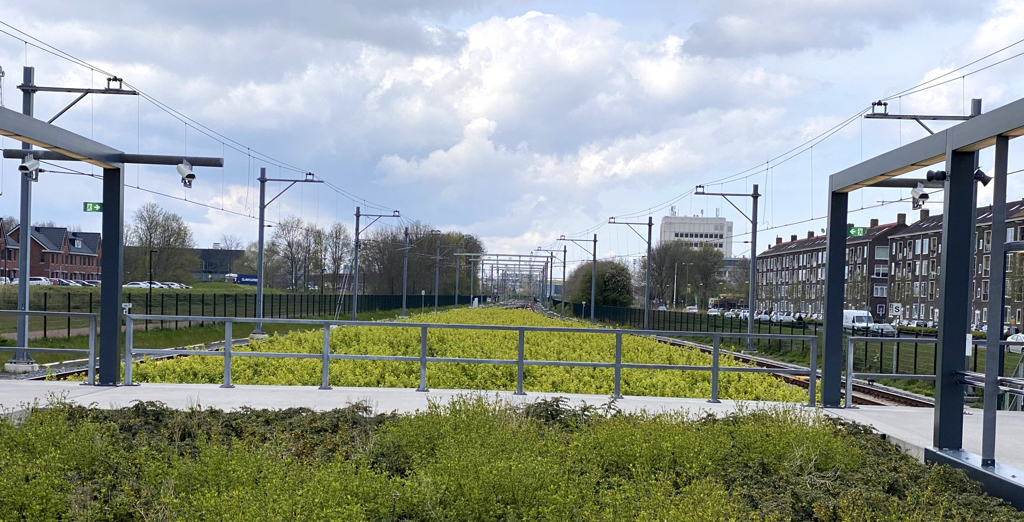 MR-spoor-Hoekse-Lijn-4.jpg